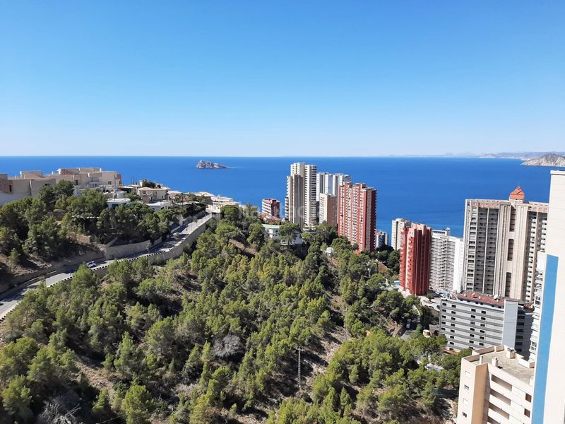 Foto 7f72bba0-23de-438d-b588-d84f36074429. Apartament amb calefacció aparcament piscina a Rincón Alto Benidorm