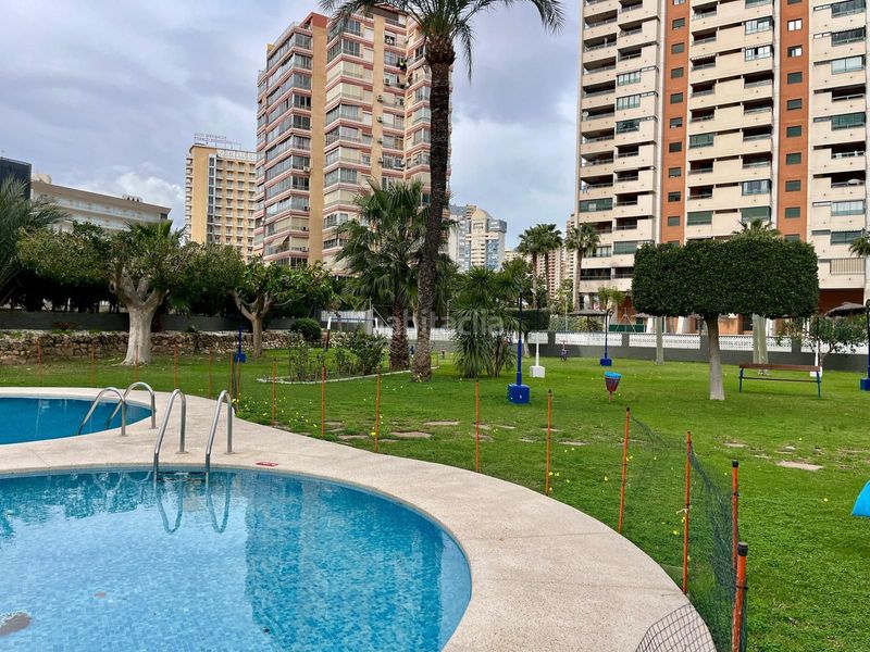 Foto 2548a7b8-ad82-41fd-931e-f080b5be2d3f. Apartament amb calefacció aparcament piscina a Rincón Bajo Benidorm