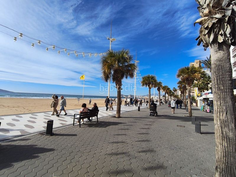 Foto b1629a24-f1de-45ca-a8ab-0cc51067967c. Estudi amb aparcament a Playa Levante Benidorm