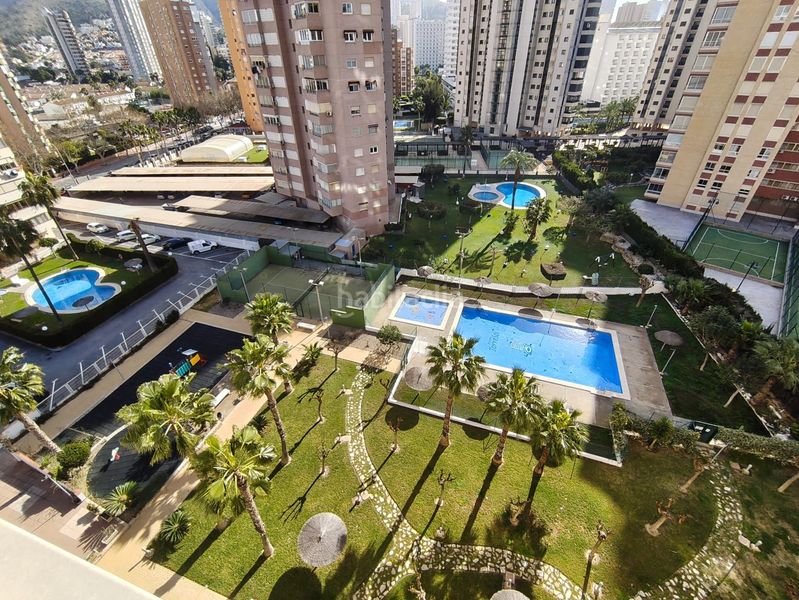 Foto 04238425-c0c6-4ab5-a204-a8337417e8bf. Apartament amb piscina a Rincón Bajo Benidorm