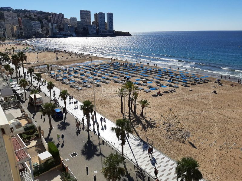 Foto 535fe576-fb9a-422b-95d1-fa49000548d8. Apartament amb calefacció aparcament piscina a Playa Levante Benidorm