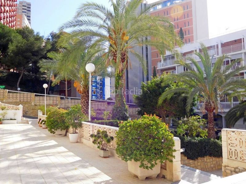 Foto 36f68b3c-c4d5-4216-aa38-32fc06081053. Apartament amb aparcament a Rincón Alto Benidorm