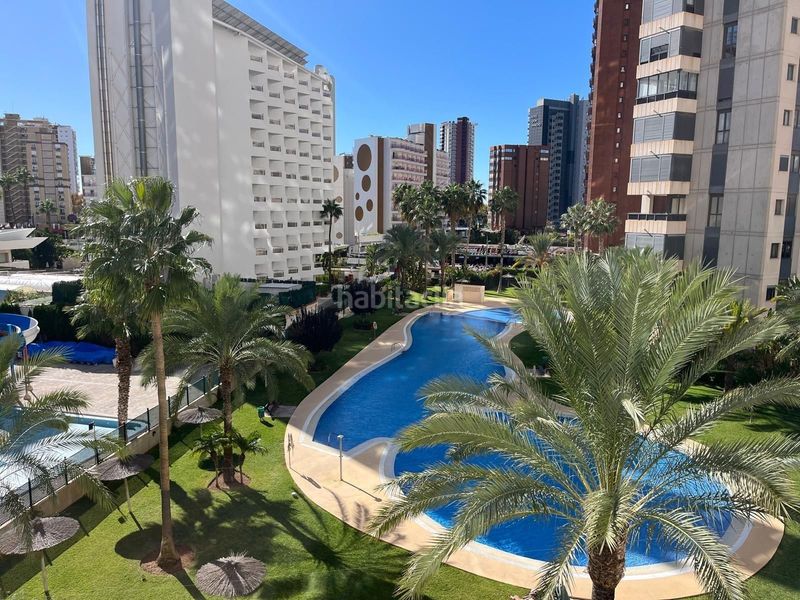 Foto 4e63dc09-662e-4fe2-9605-3728acbf77d3. Apartament amb calefacció aparcament piscina a Rincón Bajo Benidorm