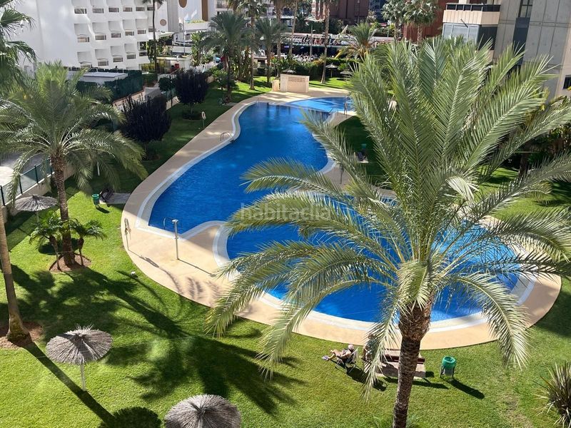 Foto acf16b1b-1907-4e57-a94c-ac9e071113cb. Apartament amb calefacció aparcament piscina a Rincón Bajo Benidorm