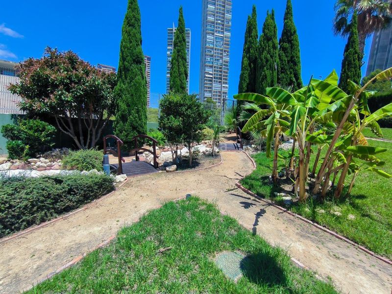 Foto e28327f0-161b-4cfc-93c7-3ddc450af478. Apartament amb aparcament piscina a Via Parque Benidorm