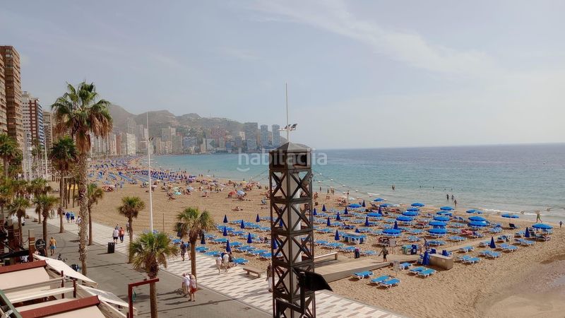 Foto 15d5c8bf-fbfd-4cf2-b0d9-0b104e6dc490. Pis amb calefacció aparcament a Playa Levante Benidorm