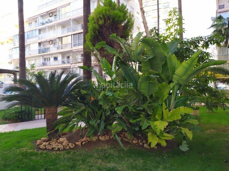 Foto fc8d44bd-6fcd-4f23-ac71-bae6c3b4b947. Flat with heating parking in Playa Levante Benidorm
