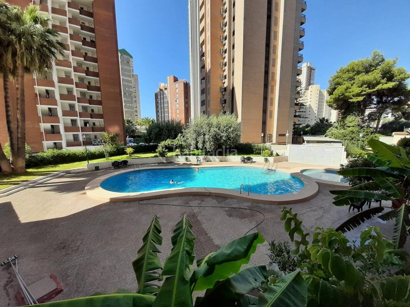 Foto 86ddf72e-4de3-4ebe-9ed3-d653782713f5. Apartament amb aparcament piscina a Playa Levante Benidorm