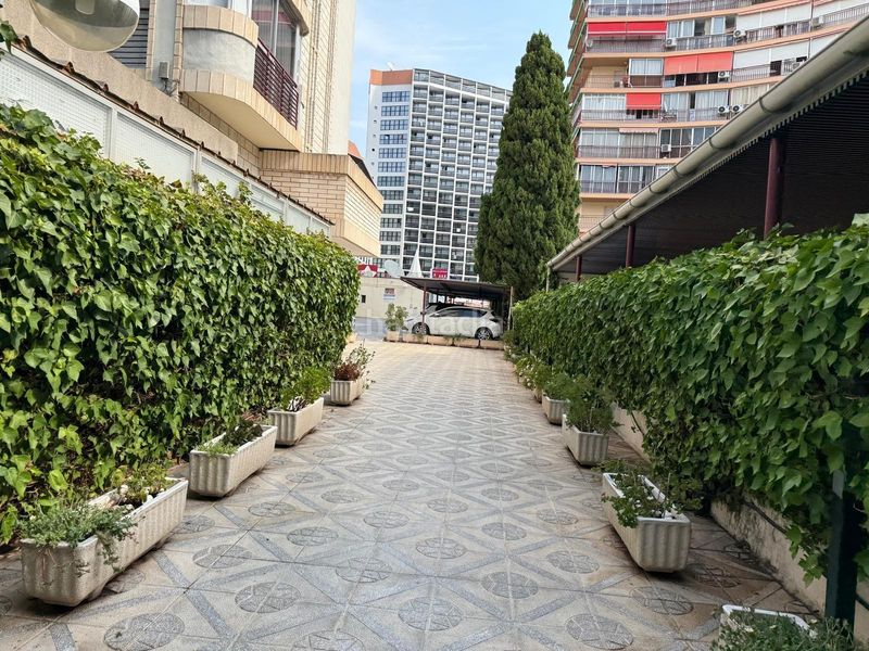 Foto d555b1cc-faaf-4eb7-9101-e9f25dd24c9d. Loft amb aparcament a Playa Levante Benidorm