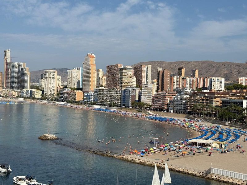 Foto 6913a8f2-d993-46a6-8a0b-7e696f137b15. Flat in Casco Antiguo - Puerto Benidorm