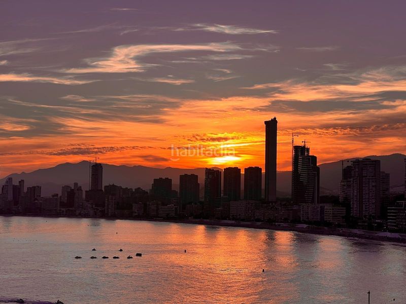 Foto 76326484-93eb-4034-8321-1c90d7579c8c. Flat in Casco Antiguo - Puerto Benidorm