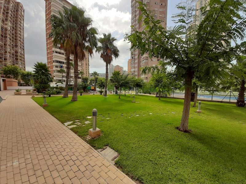 Foto 0117bbc9-a4bc-4ae4-bc25-0ddc369b8962. Apartament amb calefacció aparcament piscina a Rincón Bajo Benidorm