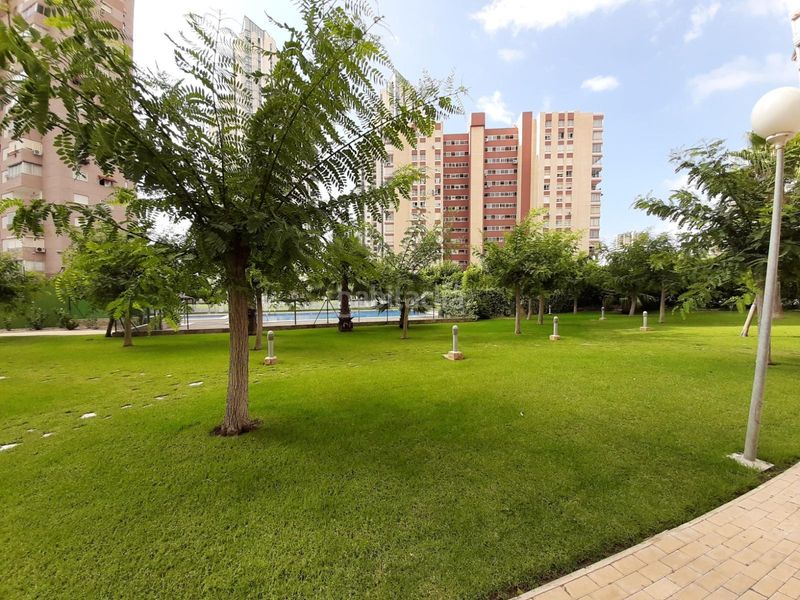 Foto 8b2f3ecf-ea54-4b37-bfe6-ce12f203f289. Apartament amb calefacció aparcament piscina a Rincón Bajo Benidorm