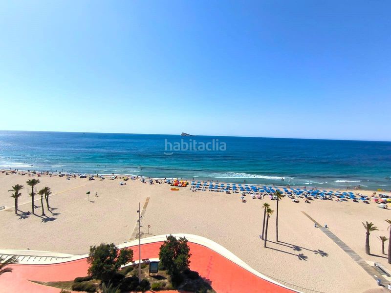 Foto 9ce0c3b7-7485-4e0d-b192-35a2171e60b3. Pis amb calefacció a Playa Poniente Benidorm