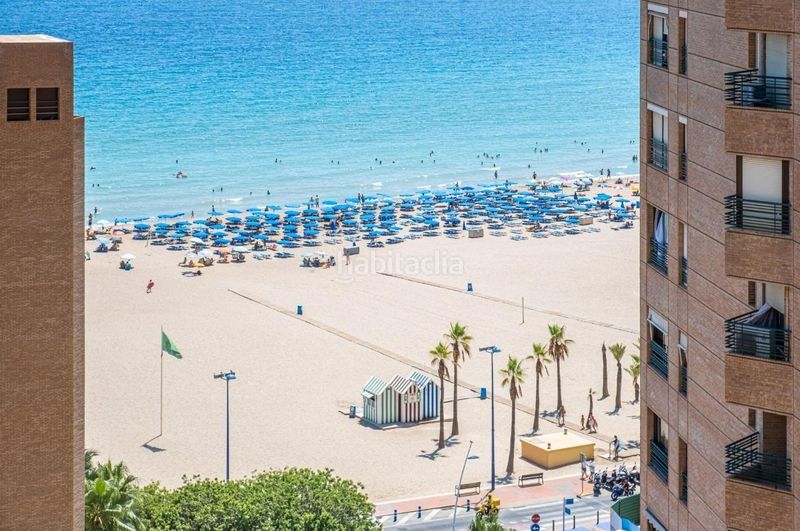 Foto c3b01386-c040-4a9f-b3d1-8999e3adf50e. Àtic amb calefacció aparcament a Playa Poniente Benidorm