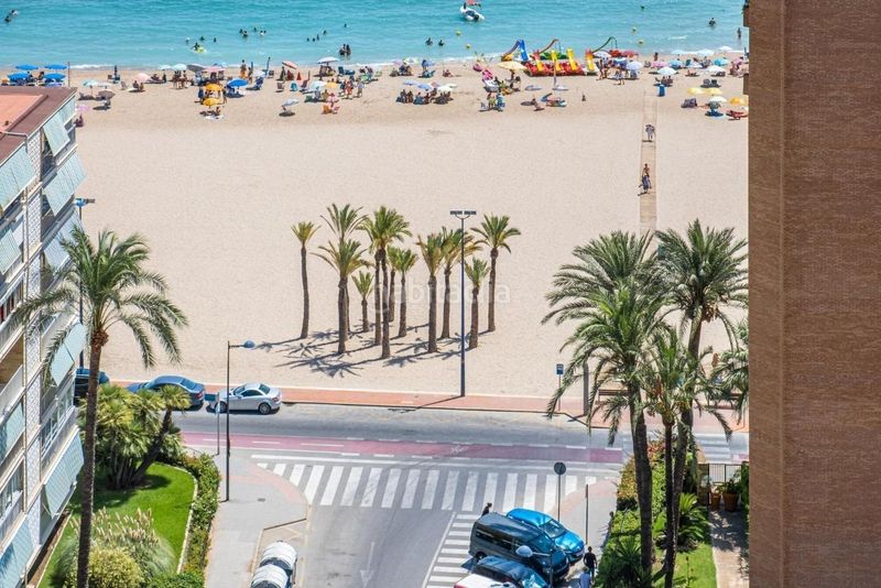 Foto db21d830-c93e-4508-927d-443abdbc79f6. Àtic amb calefacció aparcament a Playa Poniente Benidorm