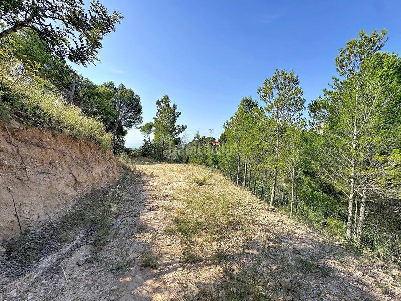 Foto 19fda516-15da-4455-a7b2-a367047f6964. Terreny residencial a Altea la vella Altea