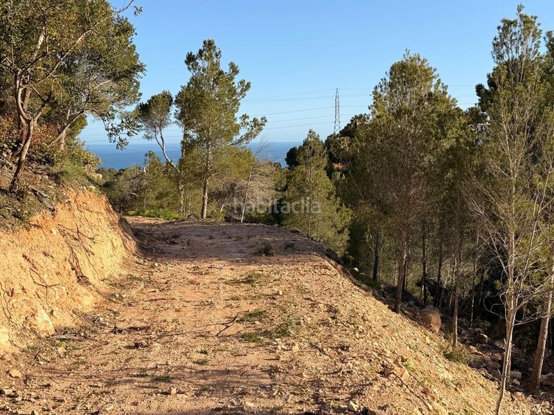 Foto d0e64cd2-8184-49da-9058-376ca4f62154. Terreny residencial a Altea la vella Altea