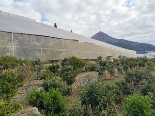 Finca rústica a Bolulla. Se vende terreno rústico 6467 m2 en callosa dél sarria.