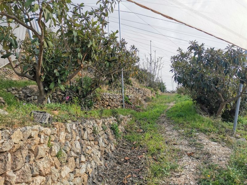 Foto e4e714e4-3b9c-414c-952a-ff58f682b90b. Finca rústica a Bolulla