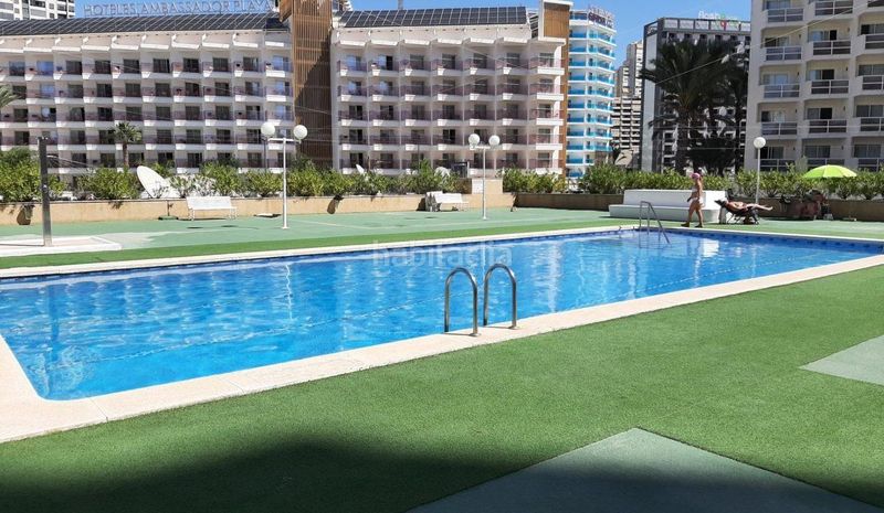 Foto 6ba3050a-533f-4dc2-863d-f06937bc7f1f. Apartament amb piscina a Playa Levante Benidorm