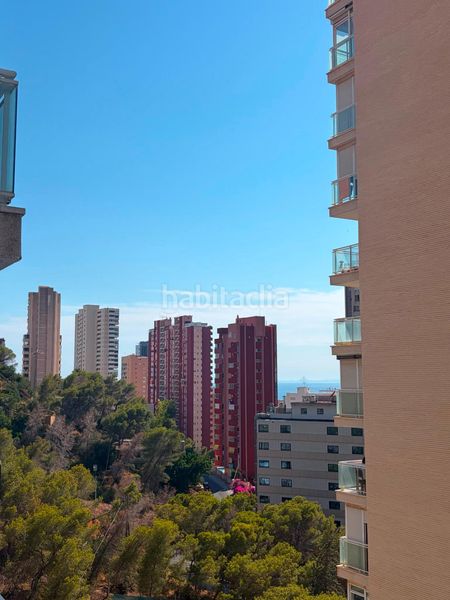 Foto 97ad529d-0045-4057-a0da-13e2df50737e. Apartament amb calefacció aparcament piscina a Rincón Alto Benidorm