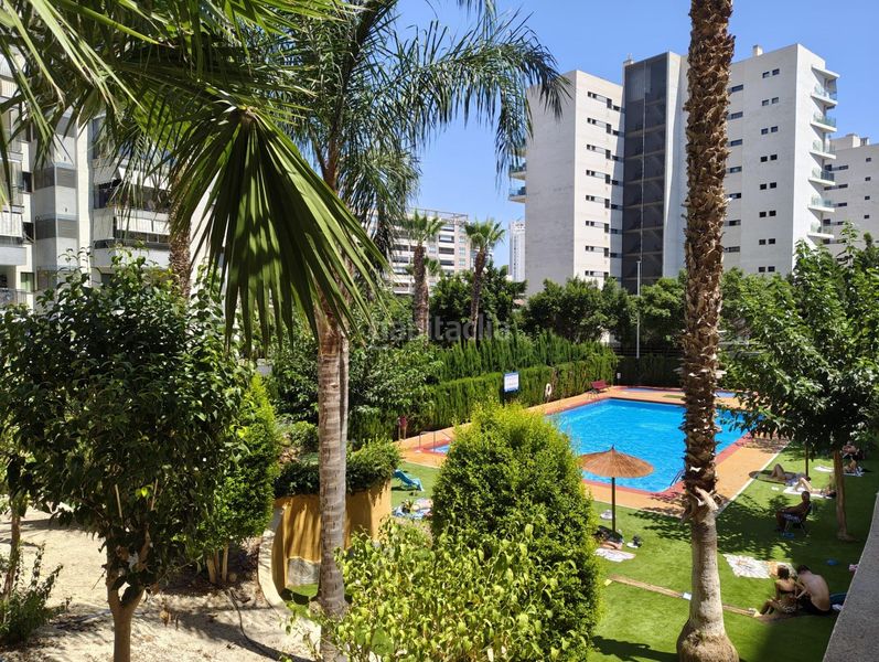 Foto d7aa0b5a-e500-474b-b2ae-ab1103aef341. Apartament amb calefacció piscina a Cala Alta-Veramar Vila Joiosa (la)