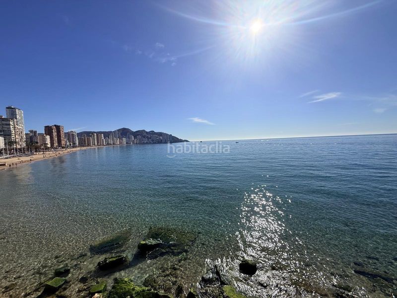 Foto 1060137b-2fd9-47ad-a66c-e2b9adf79c1b. Pis amb calefacció a Casco Antiguo - Puerto Benidorm