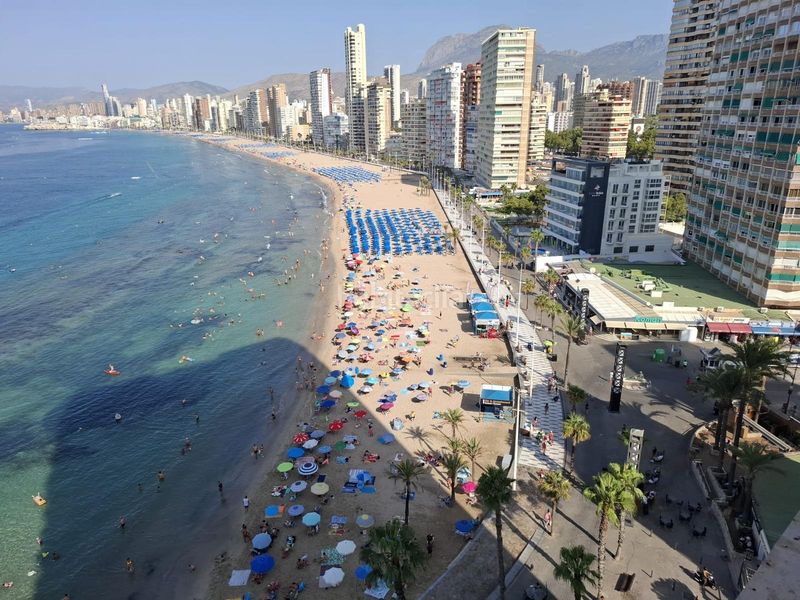 Foto 715ddbf3-7c96-4b9f-9ce8-1ca3c1440a8c. Apartament amb calefacció aparcament piscina a Rincón Alto Benidorm