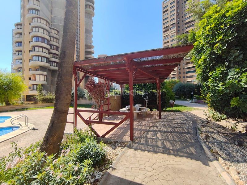 Foto b2e501ab-f203-498b-be9e-5c0fd9ef38f9. Pis amb calefacció piscina a Juzgados - Plaza de Toros Benidorm