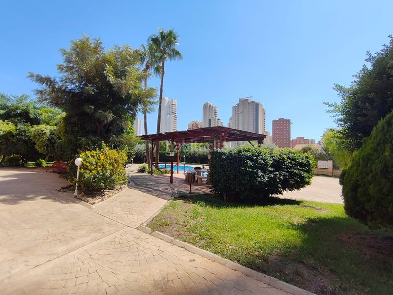 Foto e4790acd-8a92-4877-a027-2f0065c0f5c1. Pis amb calefacció piscina a Juzgados - Plaza de Toros Benidorm