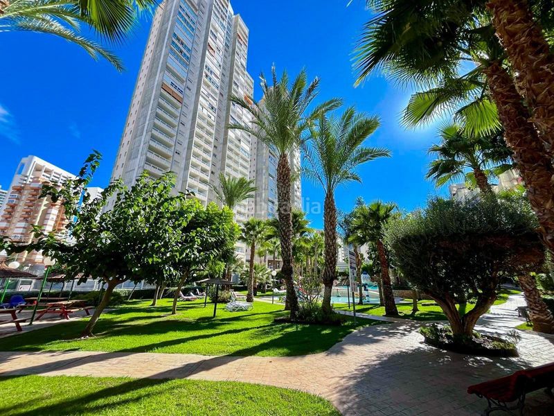 Foto 836be21d-ad65-4d44-ba1d-69bca2609926. Dúplex amb aparcament piscina a Rincón Bajo Benidorm