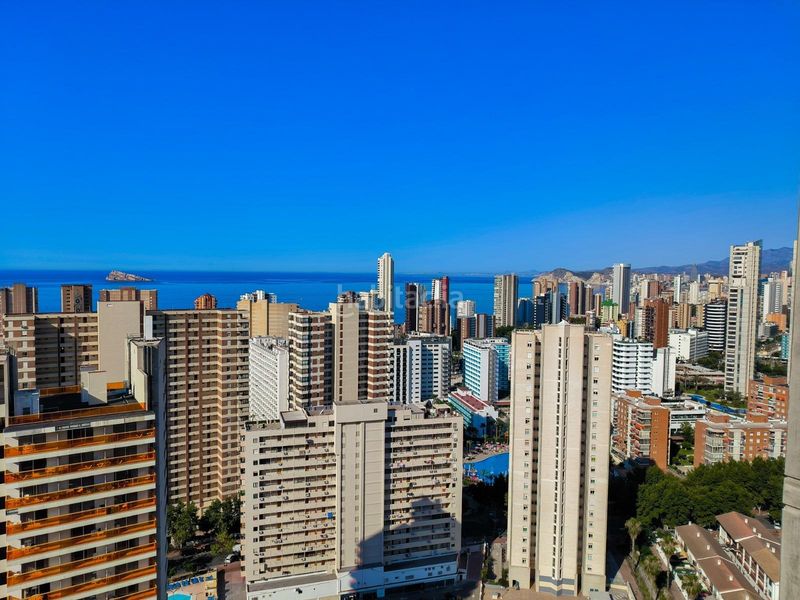 Foto a0c353a7-a70b-4c0d-9df9-7511f3c8b203. Dúplex amb aparcament piscina a Rincón Bajo Benidorm