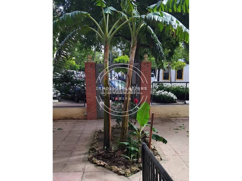 Foto c3293280-57d4-408f-a171-f14a8c0be8ca. Pis amb aparcament a Ciudad Jardín - Zoco Córdoba