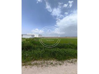 Terreno residenziale  Calle tahivilla. Terreno rústico en tahivilla tarifa  2.500 m  ideal cultivo o in