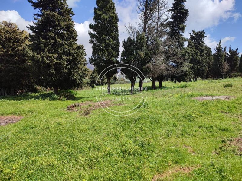 Foto 026c4c18-aa6e-4463-a502-f61dfcfd70e3. Finca rústica a Tarifa ciudad Tarifa