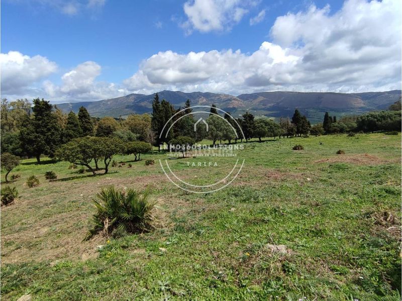 Foto 84a09d25-9d91-4a79-a7f9-e369d6590fef. Finca rústica a Tarifa ciudad Tarifa