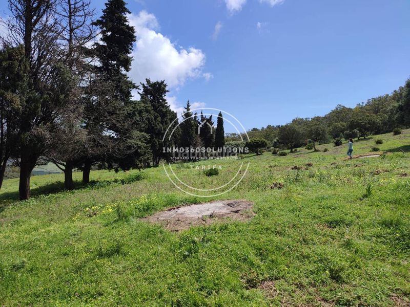 Foto b4fdc779-cccc-45cb-9ccc-8dc478a27b22. Finca rústica a Tarifa ciudad Tarifa