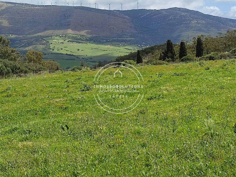 Foto b8c7f9f3-2fa6-434f-89e1-956300f0e7cd. Finca rústica a Tarifa ciudad Tarifa
