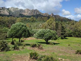 Finca rústica a Tarifa Ciudad. Oportunidad de inversión en tarifa  zona betis