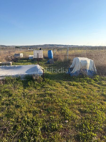 Foto 743d556a-46ca-4e70-b3ef-1543914fb0c7. Finca rústica a La Montaña - El Cortijo Aranjuez