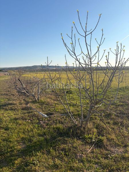 Foto 80c62249-8d72-4e5b-b512-ab65895ceef2. Finca rústica a La Montaña - El Cortijo Aranjuez