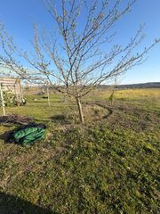 Finca rústica en La Montaña - El Cortijo. Parcela en venta en aranjuez zona cortijo de san isidro