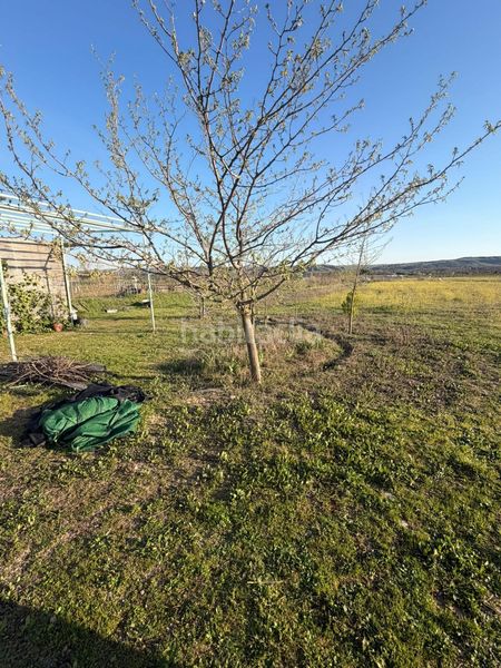 Foto 82ab1dd3-c97a-4ba4-b85f-adb1d858b8e0. Finca rústica a La Montaña - El Cortijo Aranjuez