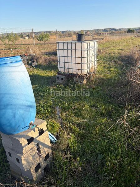 Foto cdffb787-2237-4e3a-9ae9-d73e22a4f5e8. Finca rústica a La Montaña - El Cortijo Aranjuez