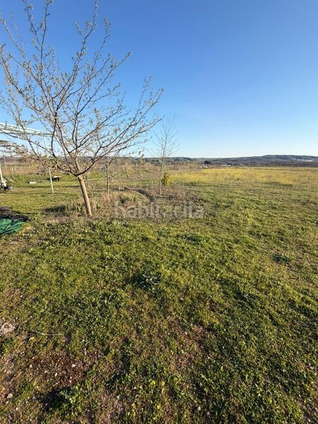 Foto ff607628-8b19-4bd1-871b-6270053dfcd3. Finca rústica a La Montaña - El Cortijo Aranjuez