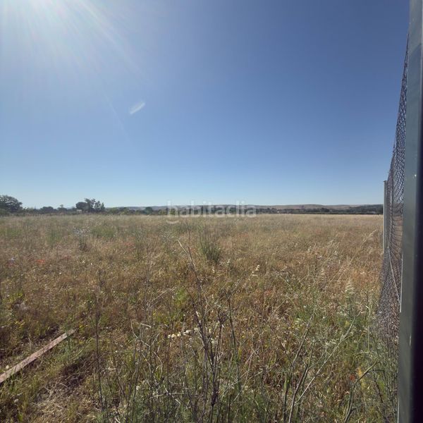 Foto 020c7125-4666-41a8-a874-f5bd7943566f. Finca rústica a La Montaña - El Cortijo Aranjuez