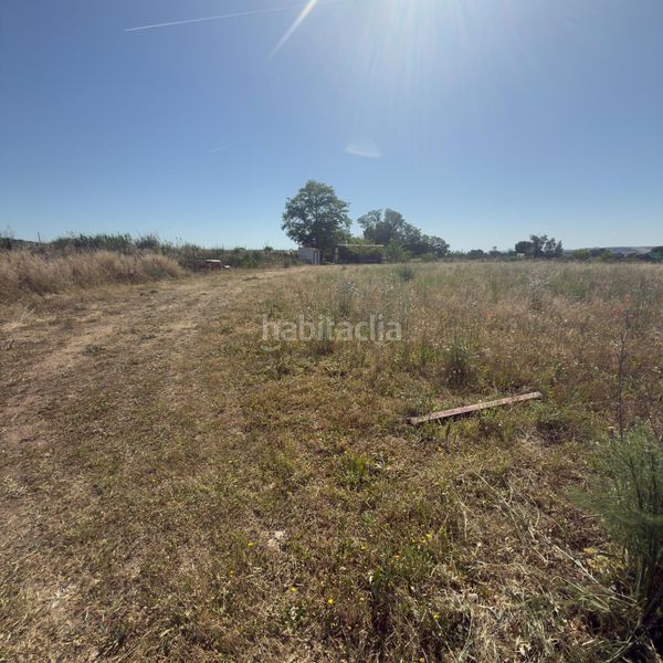 Foto 49f5d1b9-123d-4384-9cc4-80187649fdbb. Finca rústica a La Montaña - El Cortijo Aranjuez