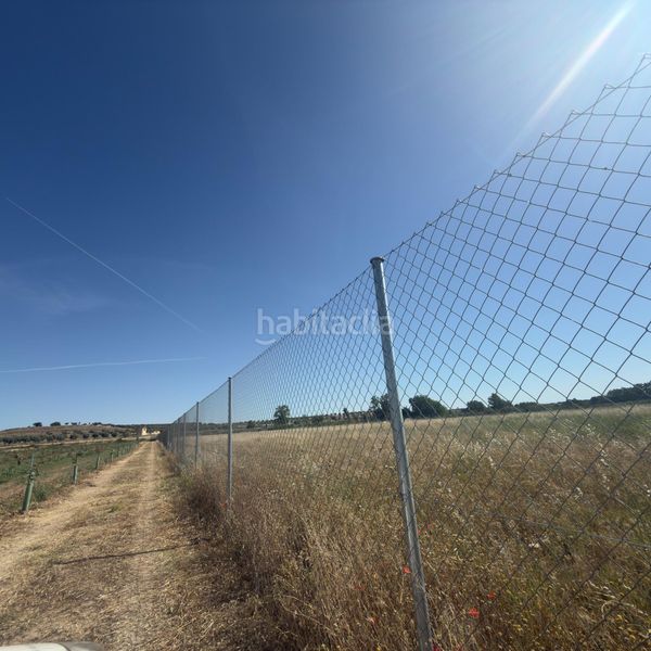 Foto e13b18ce-0c87-4933-bfda-afddd4e040a2. Finca rústica a La Montaña - El Cortijo Aranjuez