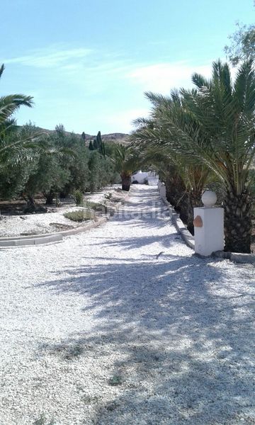 Foto 41a02bdd-9913-4007-ad63-e6deb8fe7743. Location chalet dans calle la mesta 6 dans Pozo de los Frailes-Presillas-Albaricoques Níjar